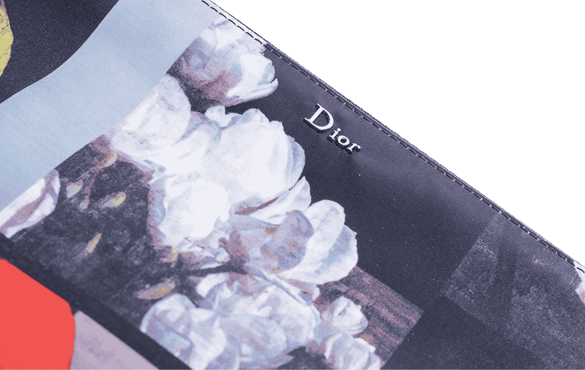 Dior Pouch