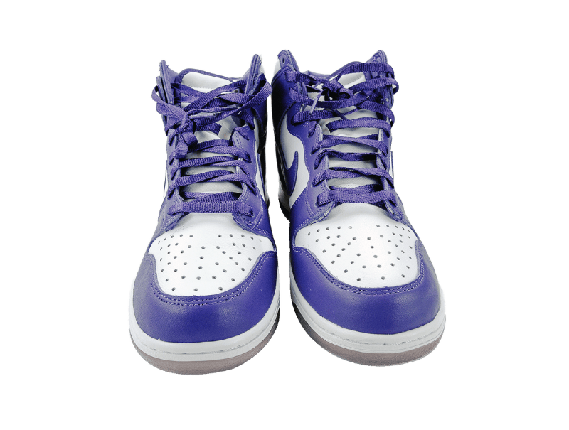 Nike Dunk HI SP