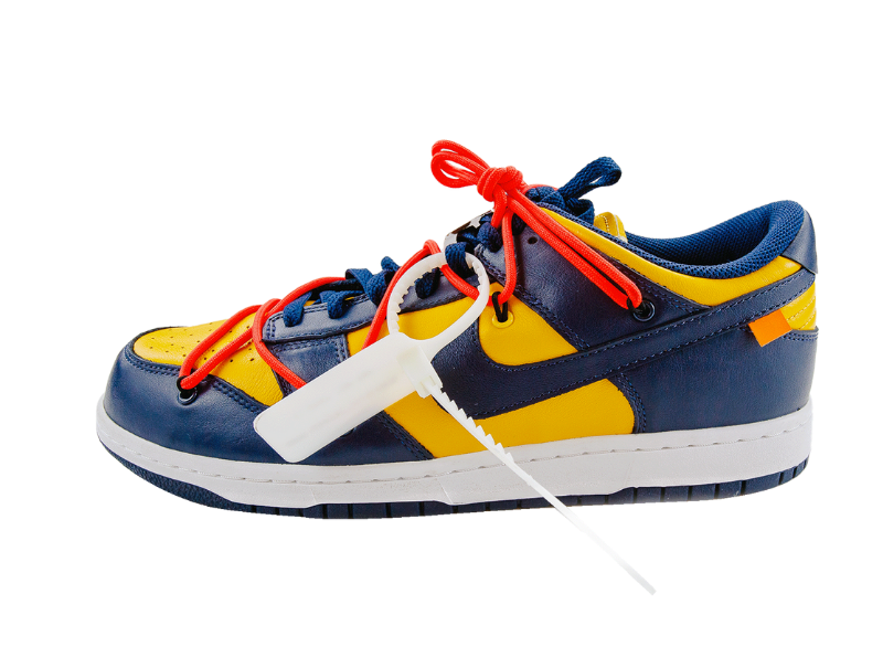 Nike Dunk Low LTHR Low