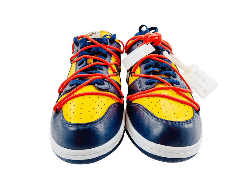 Nike Dunk Low LTHR Low