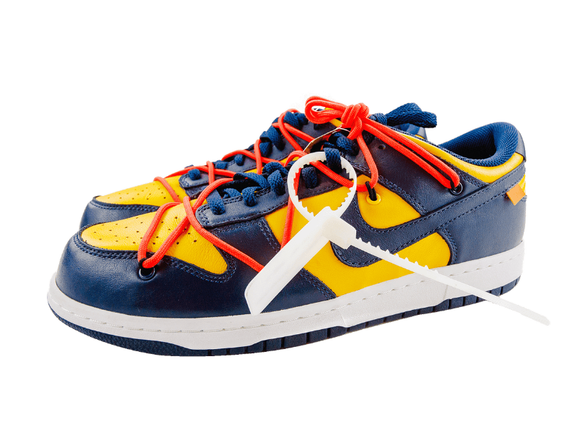 Nike Dunk Low LTHR Low
